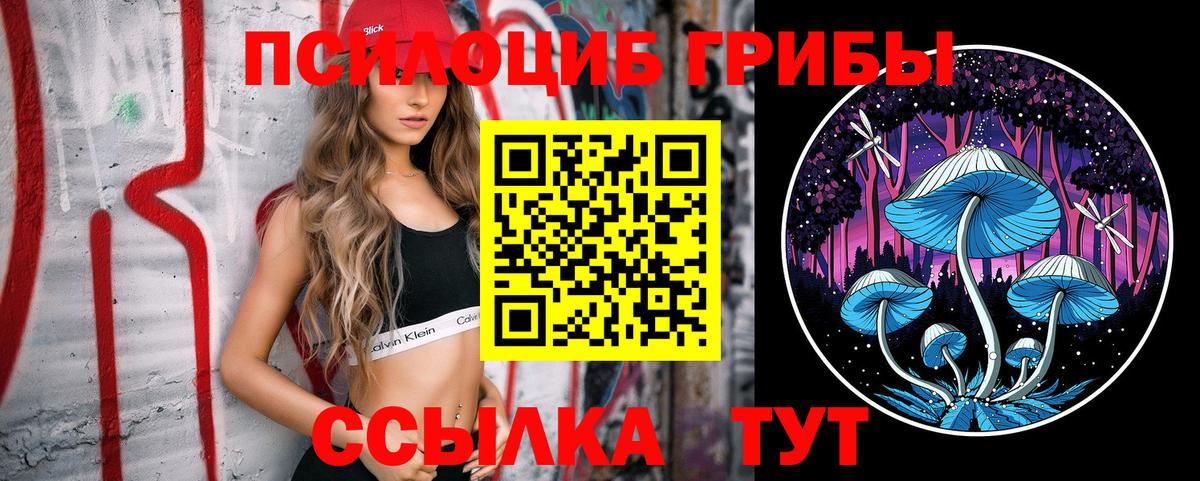 Корсаков  Галлюциногенные грибы MAGIC MUSHROOMS  Вход с VPN 