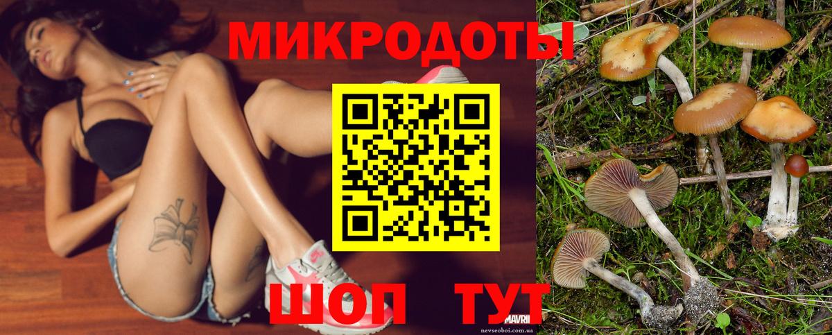Псилоцибиновые грибы Psilocybe Корсаков